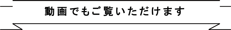動画でもご覧いただけます